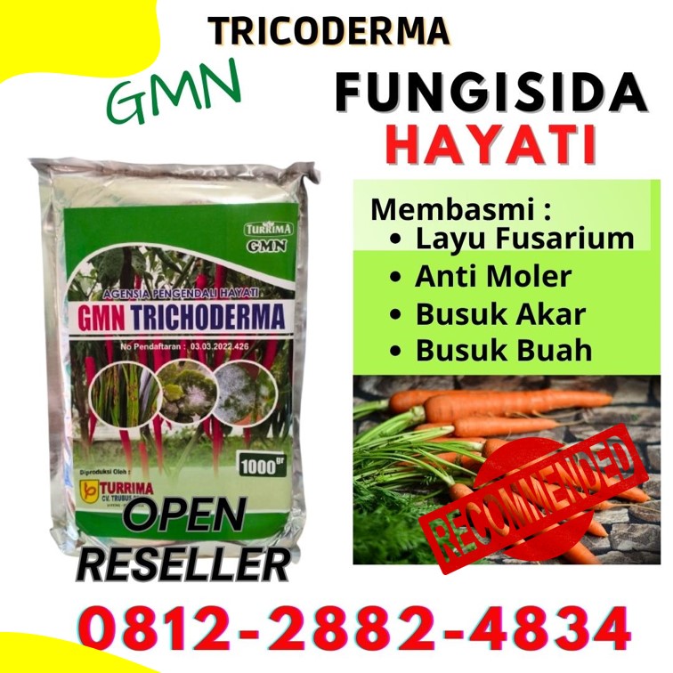 Pusat Trichoderma Untuk Fusarium Pesisir Selatan, Distributor Trichoderma Harzianum Painan, Produsen Trichoderma Untuk Cabe Solok, Pabrik Trichoderma Untuk Tanaman Arosuka, Agen Trichoderma Untuk Bawang Merah Sijunjung, Harga Trichoderma Muaro Sijunjung, Grosir Trichoderma Untuk Kelapa Sawit Kota Padang, Jual Trichoderma Untuk Padi Kota Solok, Supplier Trichoderma Untuk Penyakit Kota Sawahlunto, Suplier Trichoderma Untuk Pertanian Kota Padangpanjang