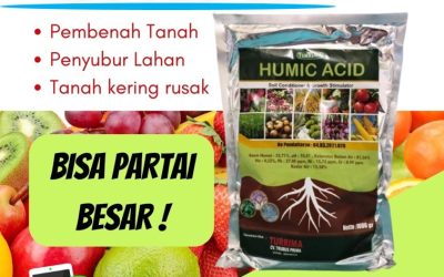 TERMURAH! 0812-2882-4834, Suplier Asam Humat Pembenah Tanah Kota Madiun, Pusat Asam Humat Pertanian Kota Malang, Distributor Asam Humat Pupuk Kota Mojokerto