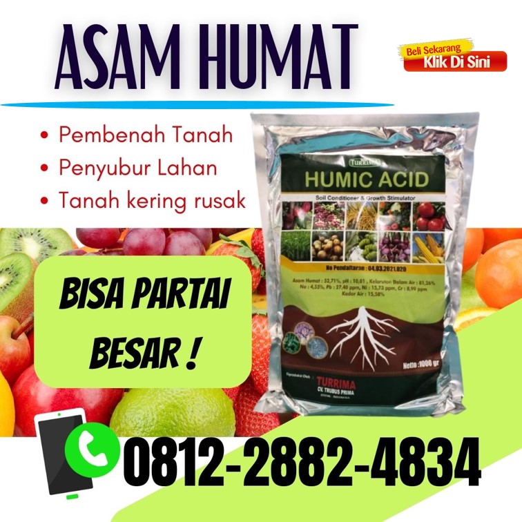 Suplier Asam Humat Pembenah Tanah Kota Madiun, Pusat Asam Humat Pertanian Kota Malang, Distributor Asam Humat Pupuk Kota Mojokerto, Produsen Asam Humat Terbaik Kota Surabaya, Supplier Asam Humat Surabaya, Suplier Pupuk Asam Humat Bangkalan, Pusat Asam Humat Ah-90 Banyuwangi, Distributor Asam Humat Acid Kanigoro, Produsen Asam Humat Untuk Anggur Bojonegoro, Pabrik Asam Humat Humic Acid Bondowoso