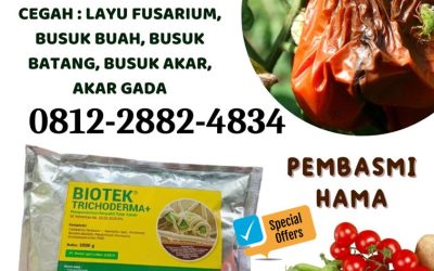DISKON! 0812-2882-4834 Suplier Fungisida Trichoderma Pesisir Selatan, Pusat Fungisida Hayati Trichoderma Painan, Distributor Fungisida Cabai Solok