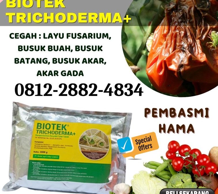 DISKON! 0812-2882-4834 Suplier Fungisida Trichoderma Pesisir Selatan, Pusat Fungisida Hayati Trichoderma Painan, Distributor Fungisida Cabai Solok