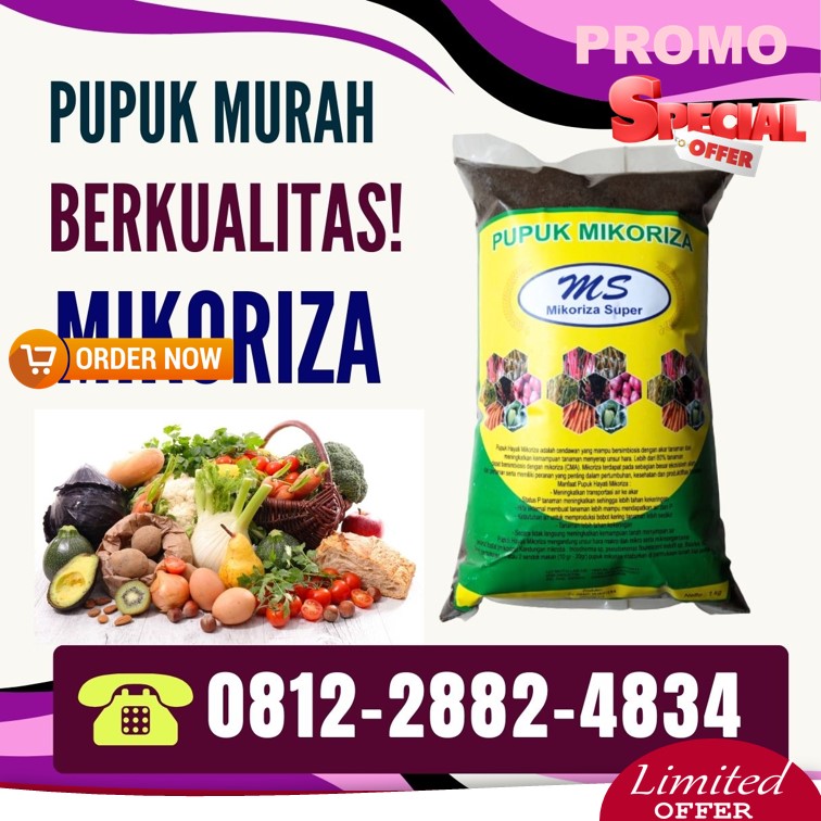 Suplier Mikoriza Untuk Durian Bengkulu Selatan, Pusat Mikoriza Untuk Tanaman Padi Kota Manna, Distributor Pupuk Mikoriza Untuk Sawit Rejang Lebong, Produsen Pupuk Mikoriza Untuk Anggrek Curup, Pabrik Pupuk Hayati Mikoriza Bengkulu Utara, Agen Pupuk Hayati Mikoriza Plus Arga Makmur, Harga Pupuk Mikoriza Untuk Sawit Kaur, Grosir Pupuk Mikoriza Terbaik Bintuhan, Jual Pupuk Mikoriza Tanaman Seluma, Supplier Mikoriza Untuk Cabe Tais