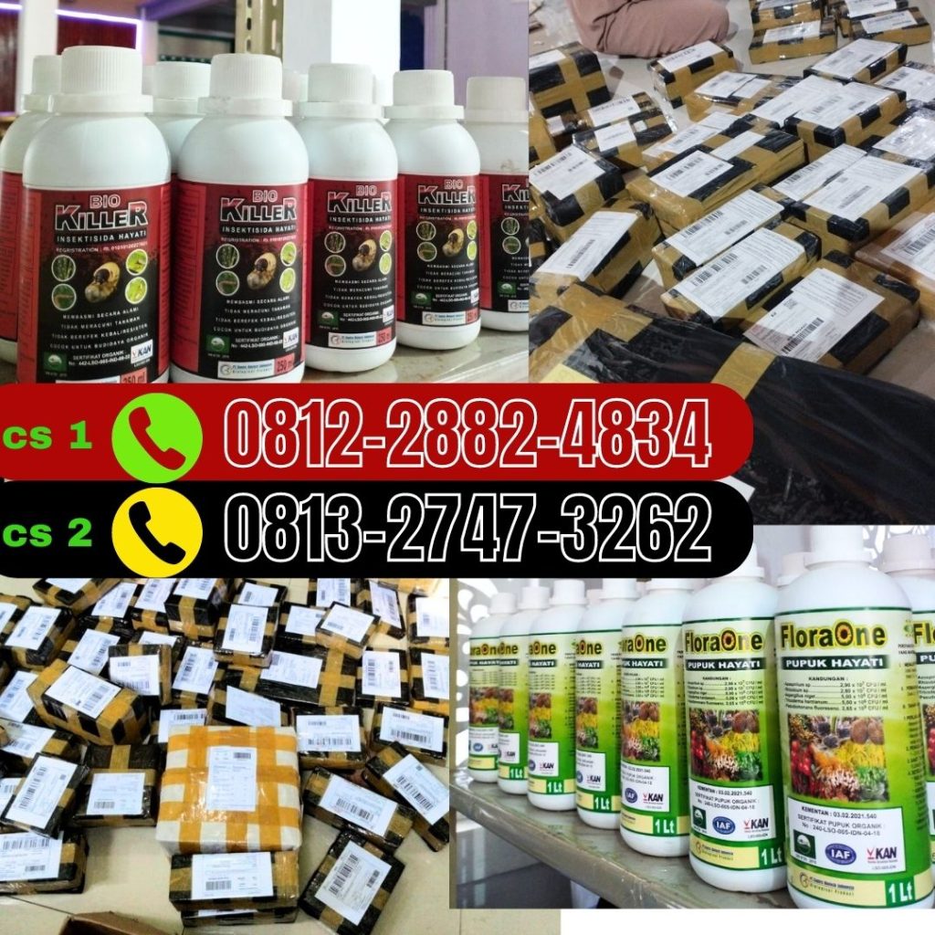 Suplier Obat Hama Tanaman Gedongtengen, Pusat Obat Hama Kutu Putih Gondokusuman, Distributor Obat Hama Wereng Jetis, Produsen Metarhizium Hayati Kotagede, Pabrik Obat Hama Padi Sundep Kraton, Agen Obat Hama Semut Mantrijeron, Harga Insektisida Alami Mergangsan, Grosir Insektisida Hama Thrips Ngampilan, Jual Insektisida Kutu Putih Pakualaman, Supplier Obat Hama Akar Tanaman Tegalrejo