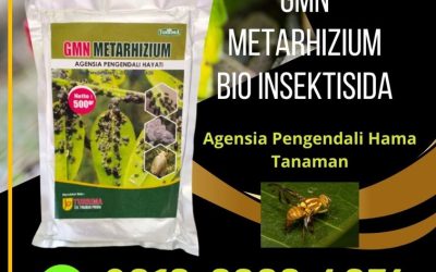DISKON! 0812-2882-4834 Suplier Obat Hama Tanaman Gedongtengen, Pusat Obat Hama Kutu Putih Gondokusuman, Distributor Obat Hama Wereng Jetis