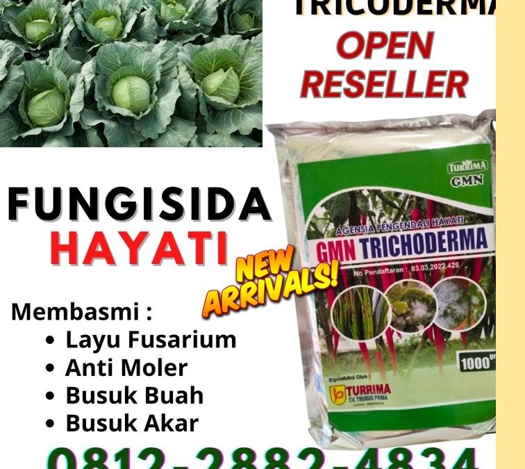 DISKON! 0812-2882-4834 Suplier Trichoderma 1kg Padang, Pusat Trichoderma Untuk Fusarium Pesisir Selatan, Distributor Trichoderma Harzianum Painan