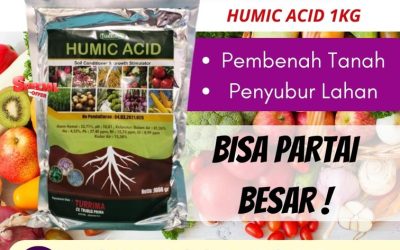 ALAMI! 0812-2882-4834, Supplier Asam Humat Organik Kota Blitar, Suplier Asam Humat Pembenah Tanah Kota Madiun, Pusat Asam Humat Pertanian Kota Malang