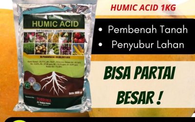 PROMO! 0812-2882-4834, Supplier Asam Humat Surabaya, Suplier Pupuk Asam Humat Bangkalan, Pusat Asam Humat Ah-90 Banyuwangi