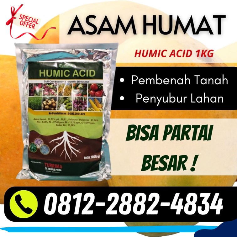 Supplier Asam Humat Surabaya, Suplier Pupuk Asam Humat Bangkalan, Pusat Asam Humat Ah-90 Banyuwangi, Distributor Asam Humat Acid Kanigoro, Produsen Asam Humat Untuk Anggur Bojonegoro, Pabrik Asam Humat Humic Acid Bondowoso, Agen Asam Humat Untuk Bawang Merah Gresik, Harga Asam Humat Untuk Cabe Jember, Grosir Asam Humat Untuk Jagung Jombang, Jual Asam Humat 25 Kg Kediri
