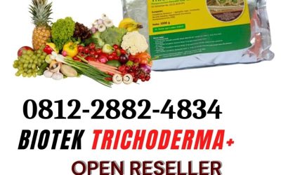 PROMO! 0812-2882-4834 Supplier Fungisida Tricoderma Padang, Suplier Fungisida Trichoderma Pesisir Selatan, Pusat Fungisida Hayati Trichoderma Painan