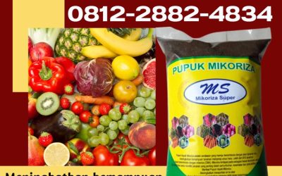 PROMO! 0812-2882-4834 Supplier Mikoriza Super Bengkulu, Suplier Mikoriza Untuk Durian Bengkulu Selatan, Pusat Mikoriza Untuk Tanaman Padi Kota Manna
