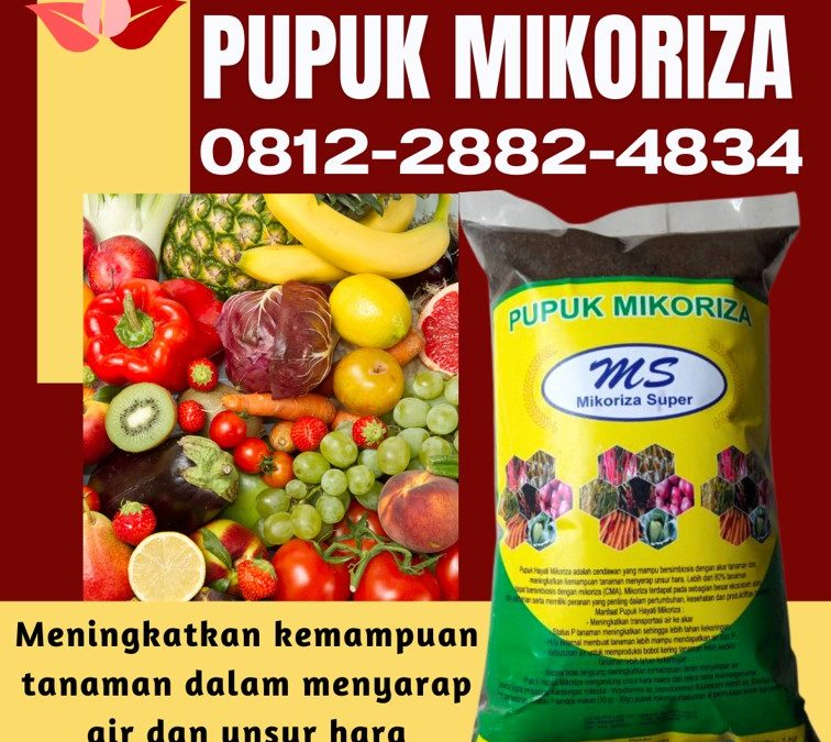 PROMO! 0812-2882-4834 Supplier Mikoriza Super Bengkulu, Suplier Mikoriza Untuk Durian Bengkulu Selatan, Pusat Mikoriza Untuk Tanaman Padi Kota Manna