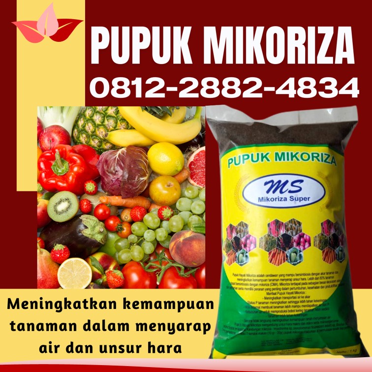 Supplier Mikoriza Super Bengkulu, Suplier Mikoriza Untuk Durian Bengkulu Selatan, Pusat Mikoriza Untuk Tanaman Padi Kota Manna, Distributor Pupuk Mikoriza Untuk Sawit Rejang Lebong, Produsen Pupuk Mikoriza Untuk Anggrek Curup, Pabrik Pupuk Hayati Mikoriza Bengkulu Utara, Agen Pupuk Hayati Mikoriza Plus Arga Makmur, Harga Pupuk Mikoriza Untuk Sawit Kaur, Grosir Pupuk Mikoriza Terbaik Bintuhan, Jual Pupuk Mikoriza Tanaman Seluma