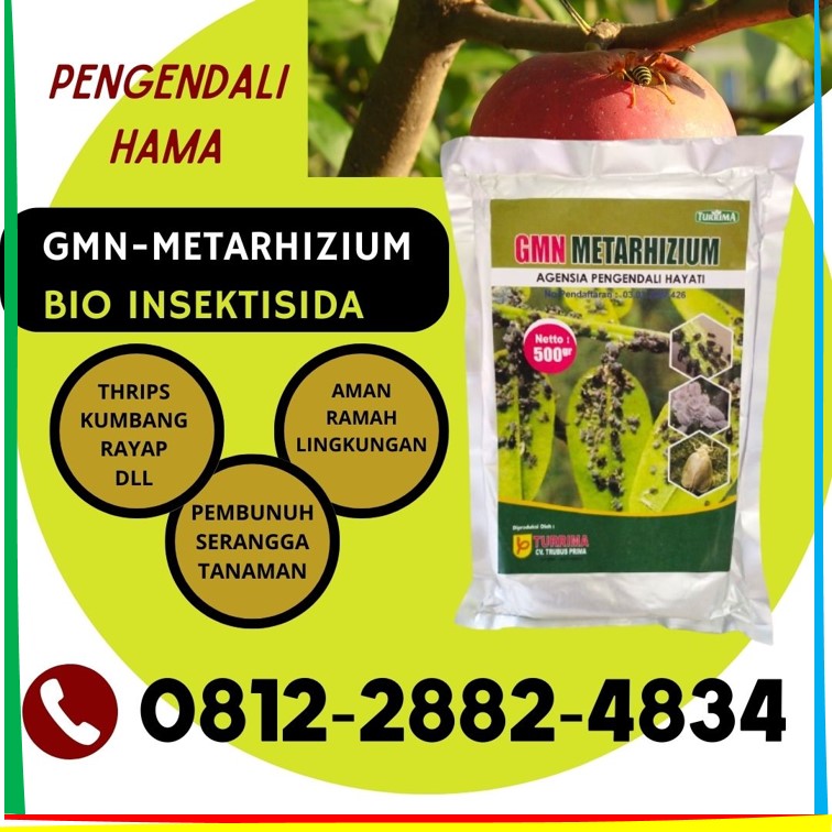 Supplier Obat Hama Danurejan, Suplier Obat Hama Tanaman Gedongtengen, Pusat Obat Hama Kutu Putih Gondokusuman, Distributor Obat Hama Wereng Jetis, Produsen Metarhizium Hayati Kotagede, Pabrik Obat Hama Padi Sundep Kraton, Agen Obat Hama Semut Mantrijeron, Harga Insektisida Alami Mergangsan, Grosir Insektisida Hama Thrips Ngampilan, Jual Insektisida Kutu Putih Pakualaman