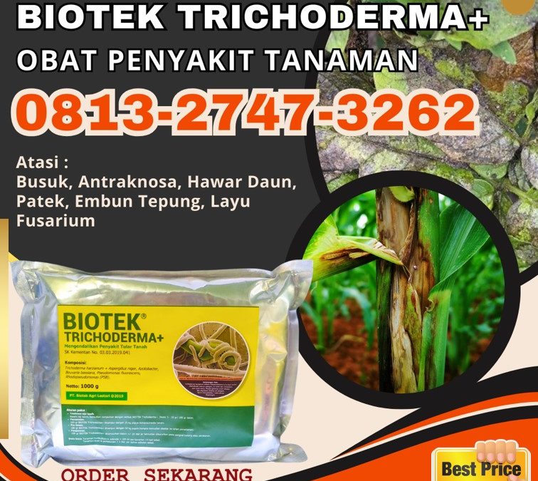 TERBARU! 0813-2747-3262 Pabrik Fungisida Terbaik Menggala, Agen Fungisida Alami Tanggamus, Harga Fungisida Organik Lampung Timur