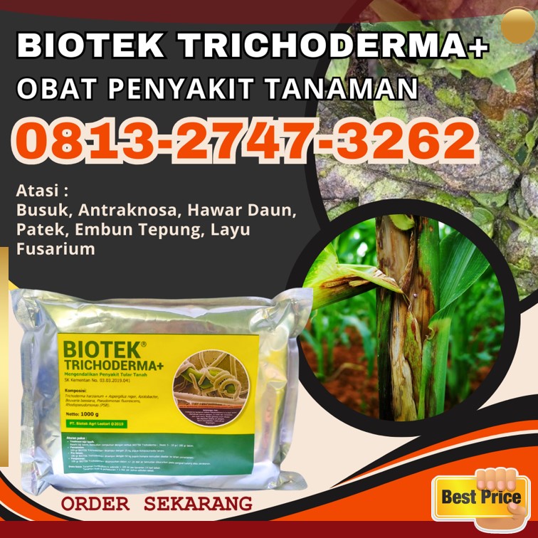 Pabrik Fungisida Terbaik Menggala, Agen Fungisida Alami Tanggamus, Harga Fungisida Organik Lampung Timur, Grosir Fungisida Cabai Kota Bandar Lampung