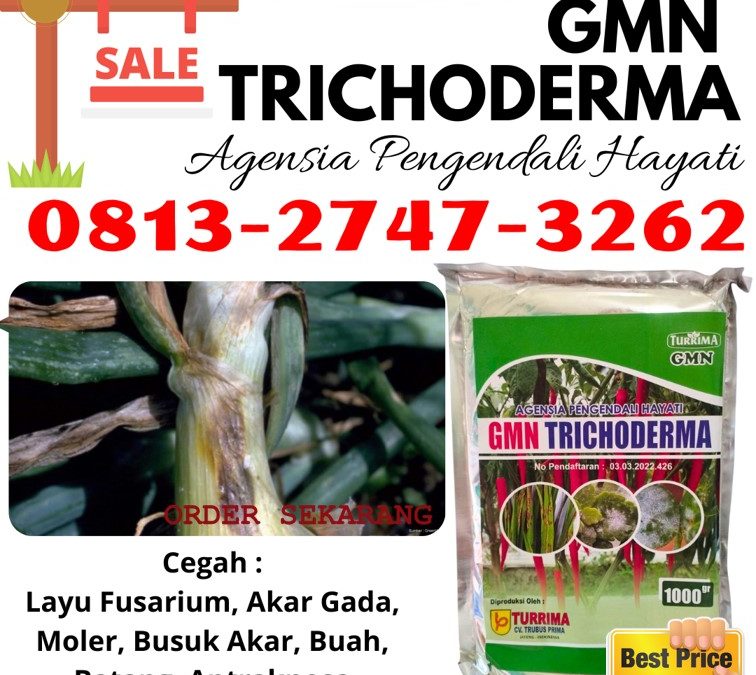 TERBARU! 0813-2747-3262 Pabrik Trichoderma Untuk Penyakit Gunungkidul, Agen Trichoderma Untuk Pertanian Wonosari, Harga Trichoderma Untuk Tanah Kulon Progo