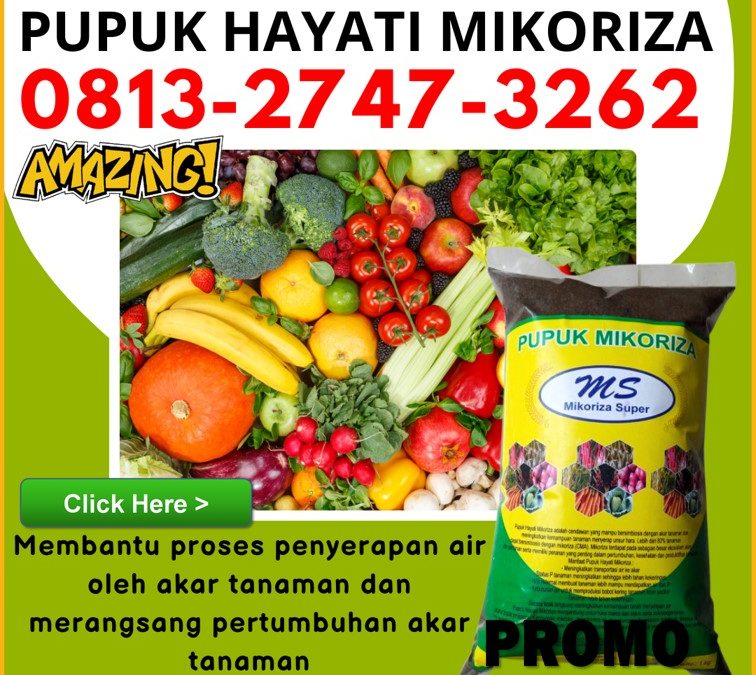 SUBUR! 0813-2747-3262 Suplier Pupuk Mikoriza Untuk Sawit Tapak Tuan, Pusat Pupuk Mikoriza Terbaik Aceh Singkil, Distributor Pupuk Mikoriza Tanaman Singkil