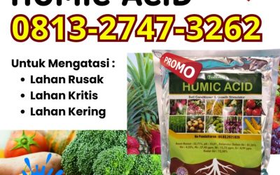 ORI! 0813-2747-3262, Supplier Asam Humat Humic Acid Bondowoso, Suplier Asam Humat Untuk Bawang Merah Gresik, Pusat Asam Humat Untuk Cabe Jember