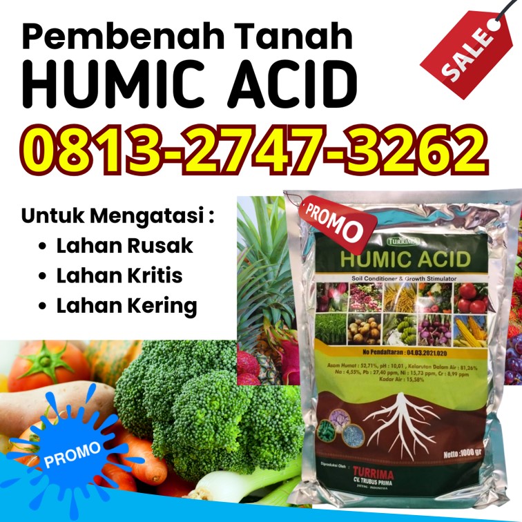 Supplier Asam Humat Humic Acid Bondowoso, Suplier Asam Humat Untuk Bawang Merah Gresik, Pusat Asam Humat Untuk Cabe Jember