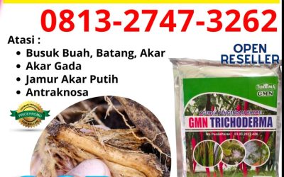 PROMO! 0813-2747-3262 Agen Trichoderma Untuk Pertanian Wonosari, Harga Trichoderma Untuk Tanah Kulon Progo, Grosir Trichoderma Untuk Pisang Wates