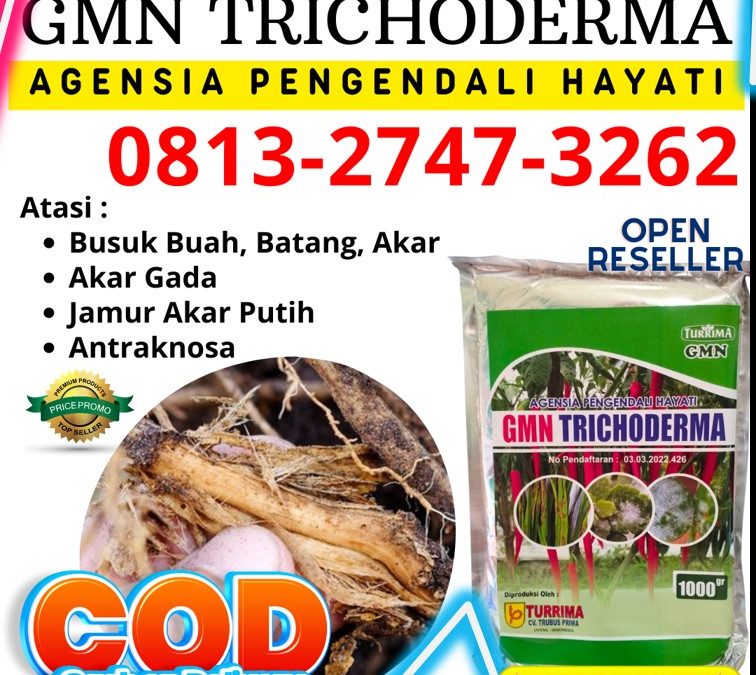 PROMO! 0813-2747-3262 Agen Trichoderma Untuk Pertanian Wonosari, Harga Trichoderma Untuk Tanah Kulon Progo, Grosir Trichoderma Untuk Pisang Wates