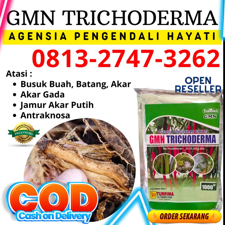 Agen Trichoderma Untuk Pertanian Wonosari, Harga Trichoderma Untuk Tanah Kulon Progo, Grosir Trichoderma Untuk Pisang Wates, Jual Trichoderma Untuk Antraknosa Sleman