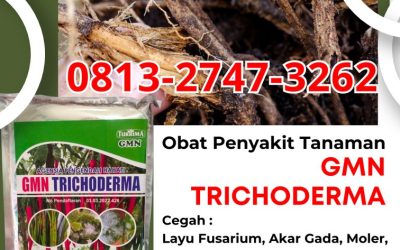 DISKON! 0813-2747-3262 Harga Trichoderma Untuk Tanah Kulon Progo, Grosir Trichoderma Untuk Pisang Wates, Jual Trichoderma Untuk Antraknosa Sleman