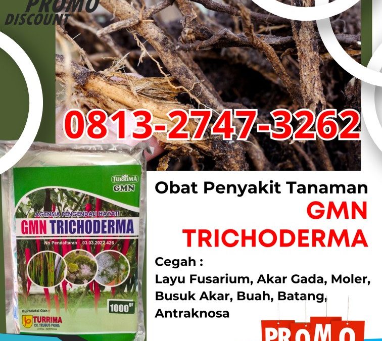 DISKON! 0813-2747-3262 Harga Trichoderma Untuk Tanah Kulon Progo, Grosir Trichoderma Untuk Pisang Wates, Jual Trichoderma Untuk Antraknosa Sleman