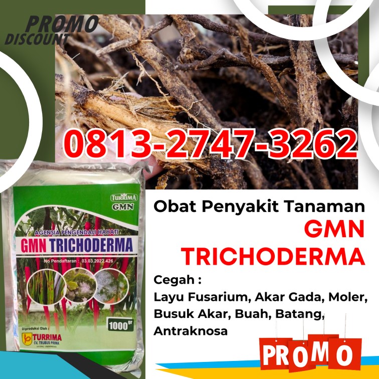 Harga Trichoderma Untuk Tanah Kulon Progo, Grosir Trichoderma Untuk Pisang Wates, Jual Trichoderma Untuk Antraknosa Sleman, Pabrik Agen Hayati Trichoderma Yogyakarta