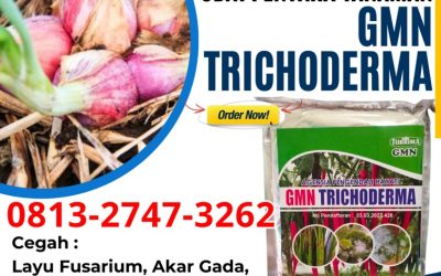 AMPUH! 0813-2747-3262 Grosir Trichoderma Untuk Pisang Wates, Jual Trichoderma Untuk Antraknosa Sleman, Pabrik Agen Hayati Trichoderma Yogyakarta