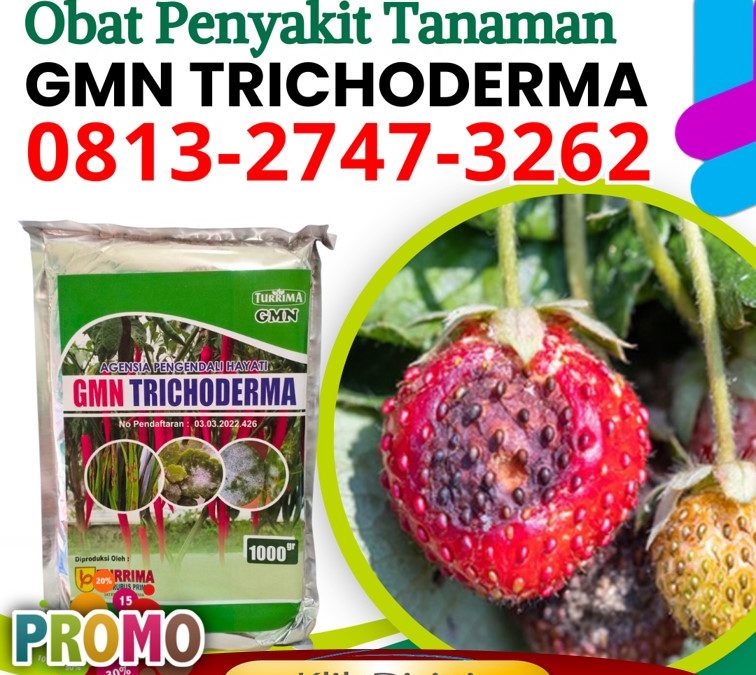SUBUR! 0813-2747-3262 Jual Trichoderma Untuk Antraknosa Sleman, Pabrik Agen Hayati Trichoderma Yogyakarta, Agen Trichoderma 1kg Bantul