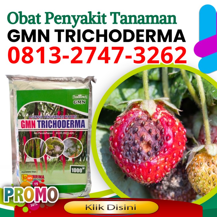 Jual Trichoderma Untuk Antraknosa Sleman, Pabrik Agen Hayati Trichoderma Yogyakarta, Agen Trichoderma 1kg Bantul, Harga Trichoderma Untuk Fusarium Gunungkidul