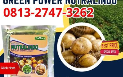 TERLARIS! 0813-2747-3262 Produsen Pupuk Untuk Memperbesar Umbi Kentang Kota Pekalongan, Pabrik Pupuk Organik Kentang Purworejo, Agen Pupuk Perangsang Umbi Kentang Rembang