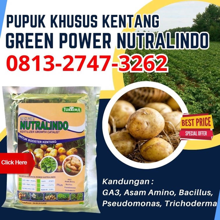 Produsen Pupuk Untuk Memperbesar Umbi Kentang Kota Pekalongan, Pabrik Pupuk Organik Kentang Purworejo, Agen Pupuk Perangsang Umbi Kentang Rembang