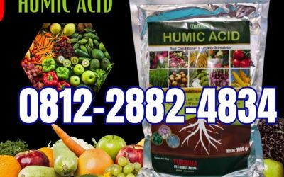 FREE KONSULTASI! 0812-2882-4834, AGEN Asam Humat Mojokerto, Asam Humat Nganjuk, Asam Humat Ngawi