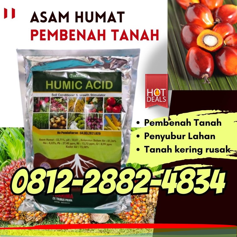 AGEN Asam Humat Pupuk Bondowoso, DISTRIBUTOR Asam Humat Terbaik Gresik, Asam Humat 1kg Jember, Asam Humat Jombang, Pembenah Tanah, Pupuk Pembenah Tanah, Pupuk Pembenah Tanah, Pupuk Pembenah Tanah Terbaik, Pembenah Tanah Alami, Pembenah Tanah Asam Humat, Asam Humat Pembenah Tanah Bondowoso