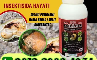 ORGANIK 0812*2882*4834, AGEN Obat Pembasmi Hama Solok, Obat Hama Arosuka, Pembasmi Hama Sijunjung