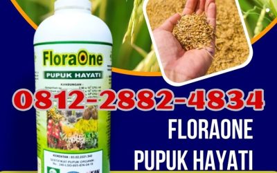 ORGANIK! 081228824834, AGEN Pupuk Hayati Cair Solok, Pupuk Trichoderma Arosuka, Trichoderma Sijunjung