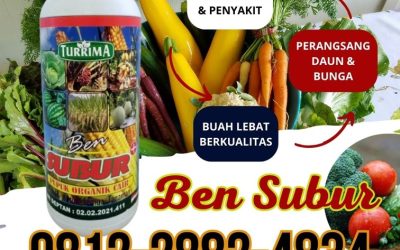ORGANIK! HUB : 0812-2882-4834, DISTRIBUTOR Pupuk Organik Ben Subur Aceh Barat Daya
