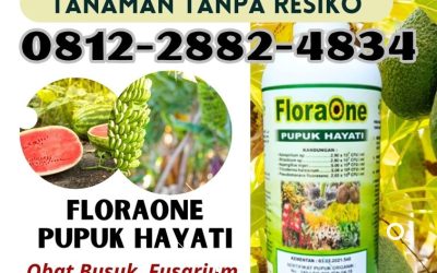 FREE KONSULTASI! 081228824834, AGEN Pupuk Tricoderma Lima Puluh Kota, Pupuk Trichoderma Cair Sarilamak, Pupuk Hayati Cair Pasaman