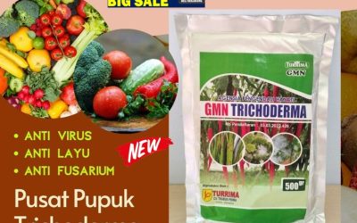 TERLARIS! 0812-2882-4834 Agen Tricoderma Harzianum Boyolali, Harga Trichoderma Harzianum Brebes, Grosir Pupuk Trichoderma Cilacap
