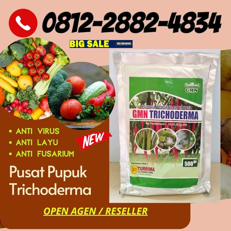 Agen Tricoderma Harzianum Boyolali, Harga Trichoderma Harzianum Brebes, Grosir Pupuk Trichoderma Cilacap, Jual GMN Trichoderma Demak, Supplier Tricoderma Purwodadi, Suplier Tricoderma Harzianum Jepara, Pusat Trichoderma Harzianum Karanganyar, Distributor Pupuk Trichoderma Grobogan, Produsen GMN Trichoderma Kebumen, Pabrik Tricoderma Kendal