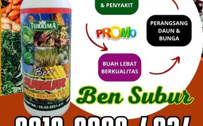 FREE KONSULTASI! 0812-2882-4834, DISTRIBUTOR Pupuk Organik Ben Subur Aceh Tamiang