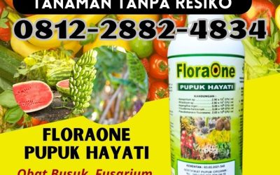 TERBAIK! 081228824834, DISTRIBUTOR Pupuk Trichoderma Arosuka, Trichoderma Sijunjung, Tricoderma Muaro Sijunjung