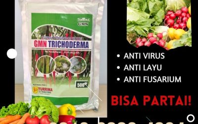 TERBARU! 0812-2882-4834 Distributor Pupuk Trichoderma Grobogan, Produsen GMN Trichoderma Kebumen, Pabrik Tricoderma Kendal