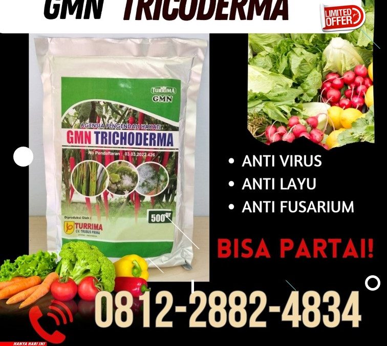 TERBARU! 0812-2882-4834 Distributor Pupuk Trichoderma Grobogan, Produsen GMN Trichoderma Kebumen, Pabrik Tricoderma Kendal