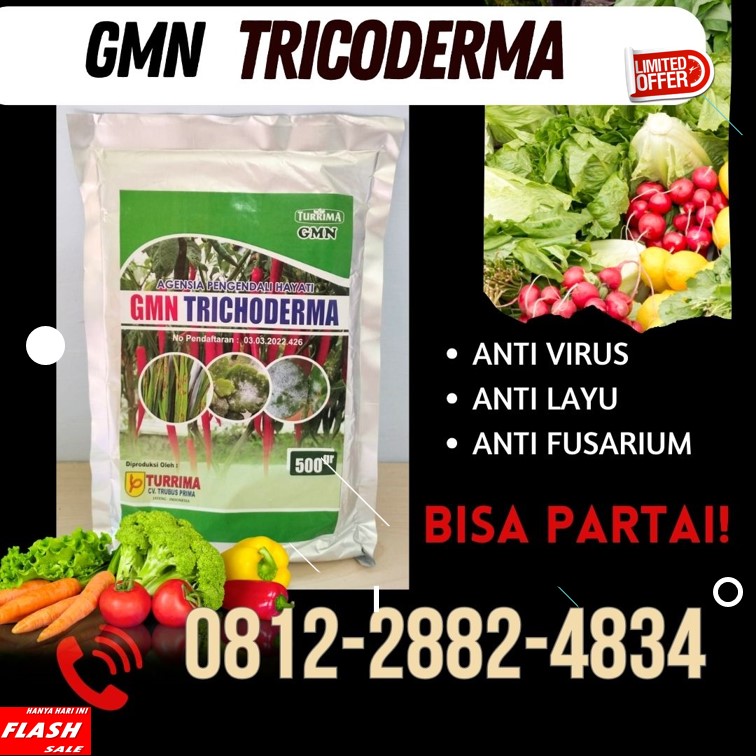 Distributor Pupuk Trichoderma Grobogan, Produsen GMN Trichoderma Kebumen, Pabrik Tricoderma Kendal, Agen Tricoderma Harzianum Klaten, Harga Trichoderma Harzianum Kudus, Grosir Pupuk Trichoderma Magelang, Jual GMN Trichoderma Mungkid, Supplier Tricoderma Pati, Suplier Tricoderma Harzianum Pemalang, Pusat Trichoderma Harzianum Purbalingga
