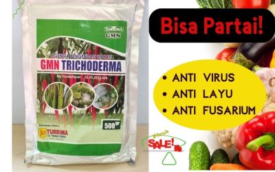 SUBUR! 0812-2882-4834 Distributor Pupuk Trichoderma Purwokerto, Produsen GMN Trichoderma Batang, Pabrik Tricoderma Blora