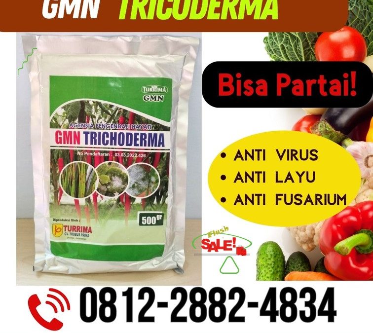 SUBUR! 0812-2882-4834 Distributor Pupuk Trichoderma Purwokerto, Produsen GMN Trichoderma Batang, Pabrik Tricoderma Blora