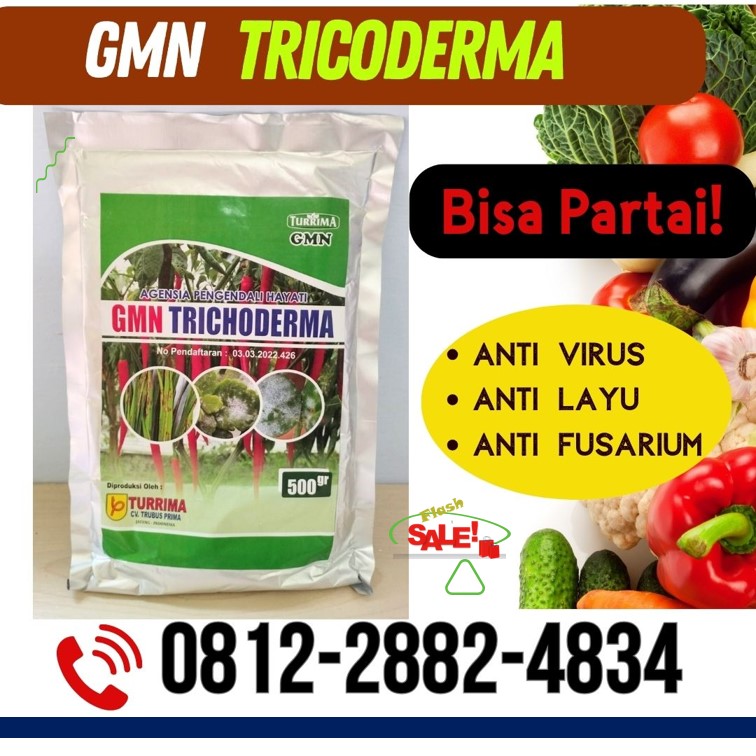Distributor Pupuk Trichoderma Purwokerto, Produsen GMN Trichoderma Batang, Pabrik Tricoderma Blora, Agen Tricoderma Harzianum Boyolali, Harga Trichoderma Harzianum Brebes, Grosir Pupuk Trichoderma Cilacap, Jual GMN Trichoderma Demak, Supplier Tricoderma Purwodadi, Suplier Tricoderma Harzianum Jepara, Pusat Trichoderma Harzianum Karanganyar